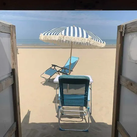 Veldtijm Koksijde